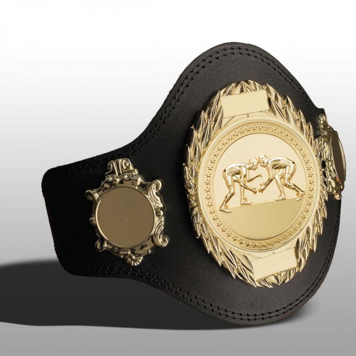 GRAPPLING CHAMPIONSHIP BELT-PLT286/G/GRAPG-4 COLOURS